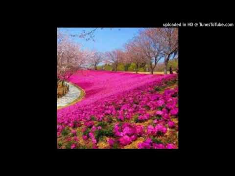 Ivan Fellini feat  Miani - Giulia