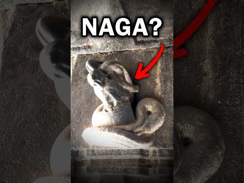 YOGA = NAGA ?