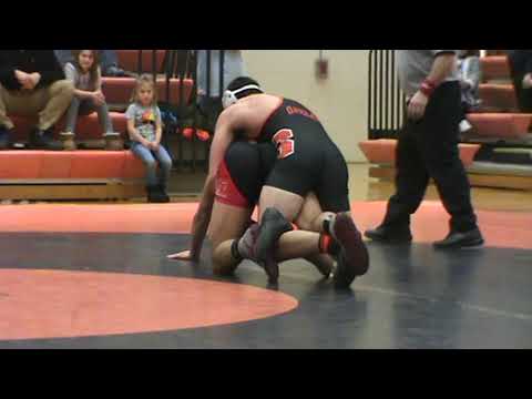 Cheshire Vega vs Shelton