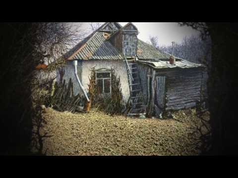 Очеретяний кіт - Блукати (art video)