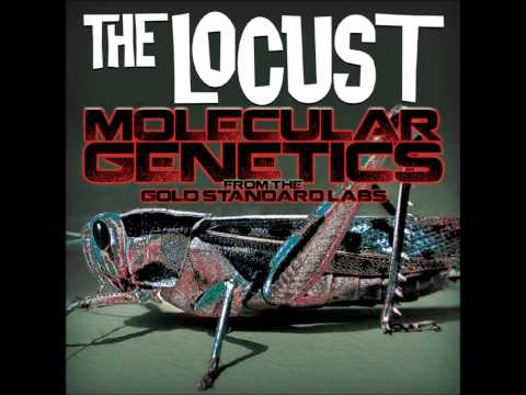 Keep Off The Tracks [REMASTERED] (HQ) (with lyrics) - The Locust