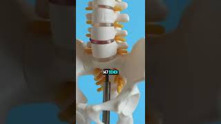 Download lagu Ilmuwan Kaget Nabi Muhammad Sebut 360 Sendi mp3 Download lagu Ilmuwan Kaget Nabi Muhammad Sebut 360 Sendi mp3