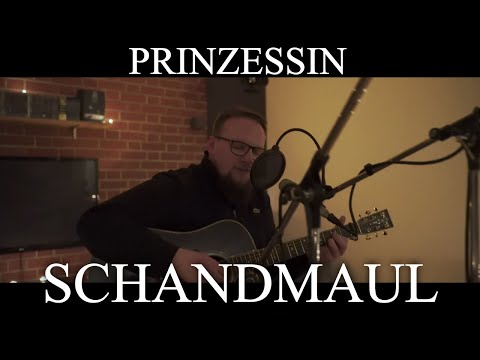 PRINZESSIN - Schandmaul (Official LIVE Akustik COVER) - Gitarre & Gesang -  Deutsches Schlaflied