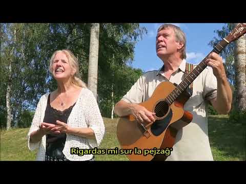 Resuma filmo de la 17-a Kantoparado