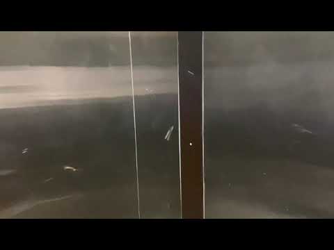 Vintage 1958 Otis Black Button Traction Elevator @ The Bank of America in Wheaton, MD