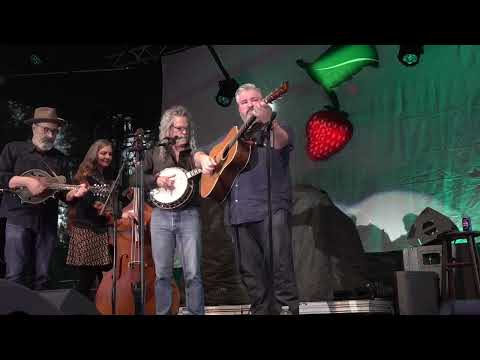 John Reischman & The Jaybirds - Strawberry Music Festival - Grass Valley, CA - May 22, 2025