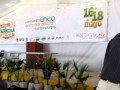 Conferencia ANSA Mauricio Navarro en Expo Agrícola Jalisco 2012 VIDEO 3