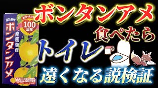 【検証】「ボンタンアメ」食べたらトイレが遠くなるのか実際にやってみた【 にじさんじフミ 】