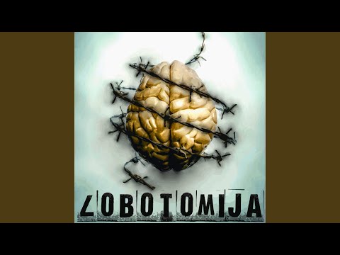 Ljiljaci (feat. DJ Drazi Drags)