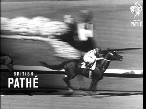 1963 Hollywood Gold Cup Won By "Cadiz" (1963)