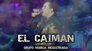 El Caimán Lyrics English Translation