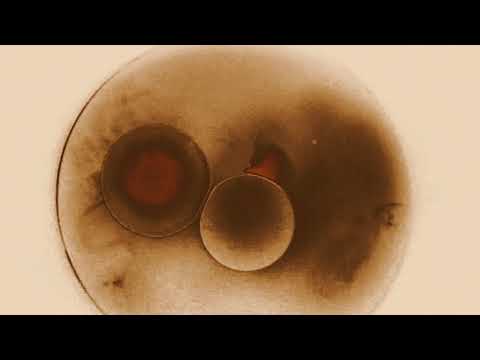 VQ075 Ryan Crosson - B1. Janet