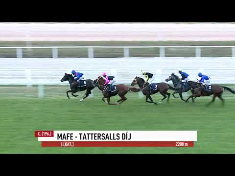 2023.10.08. 10. Futam - MAFE – TATTERSALLS DÍJ (I. kat.)