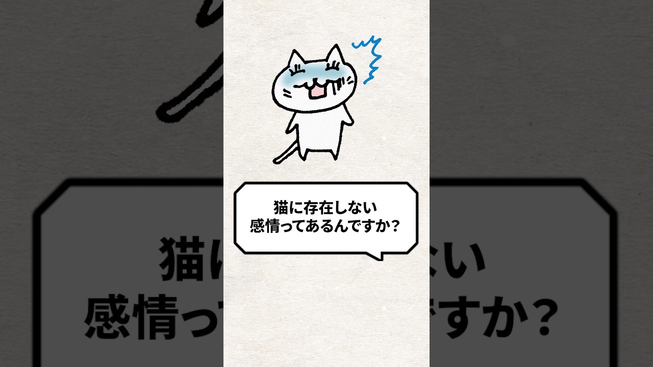 Q：猫に存在しない感情ってあるんですか？ #猫 #猫好き #ねこ