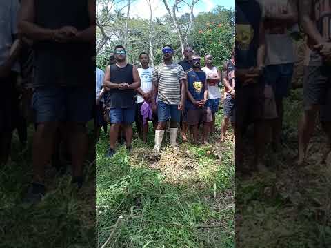 MUANIVATU MALE VOICE