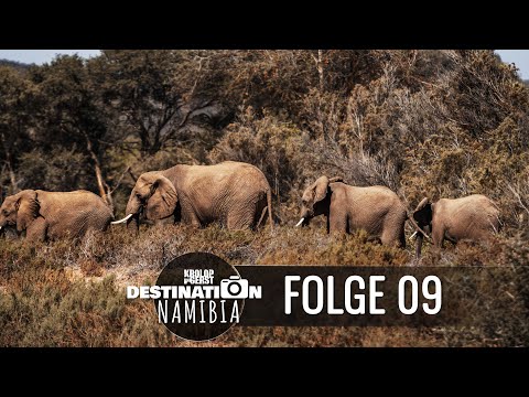 DESTINATION NAMIBIA (Meine Namibia Safaris on tour with KROLOP & GERST)