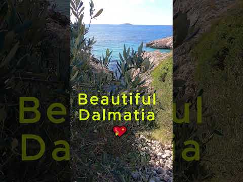 🫒 BEAUTIFUL DALMATIA 🩵