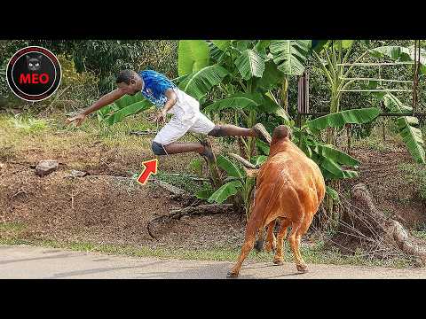 Moments When Things Went Wrong | Best Of Month (P21)