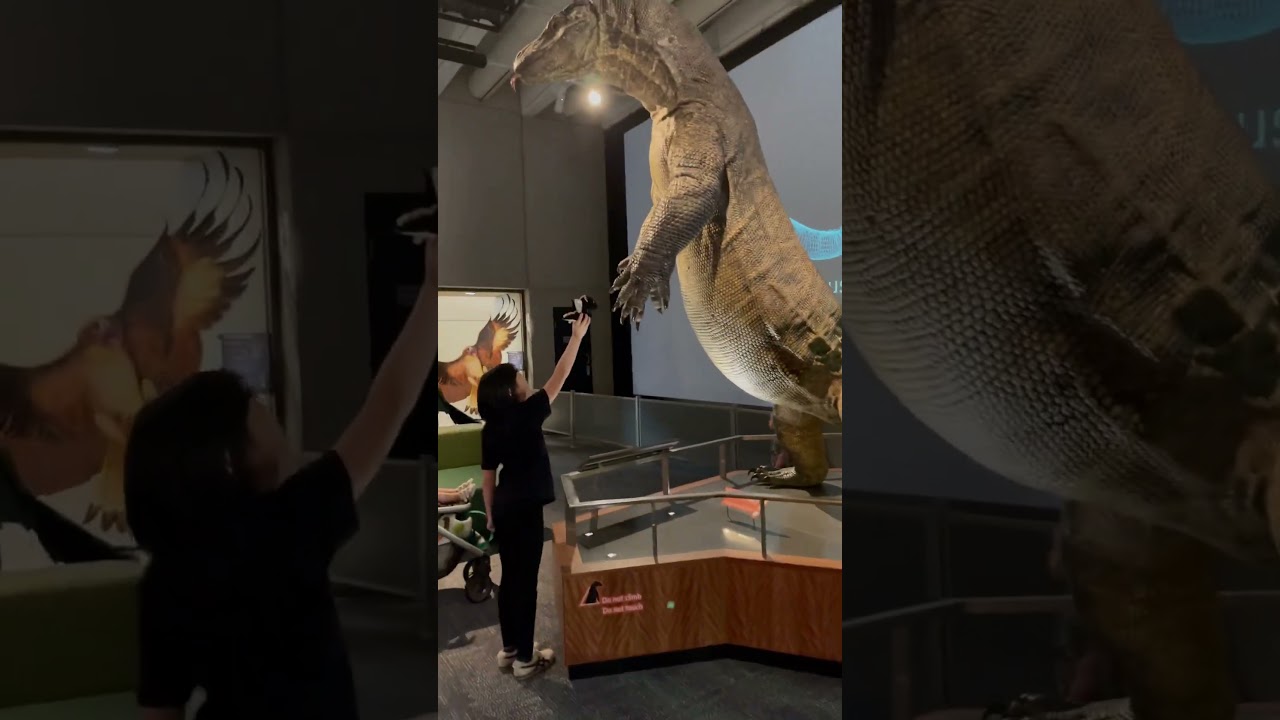 YouTube Short thumbnail