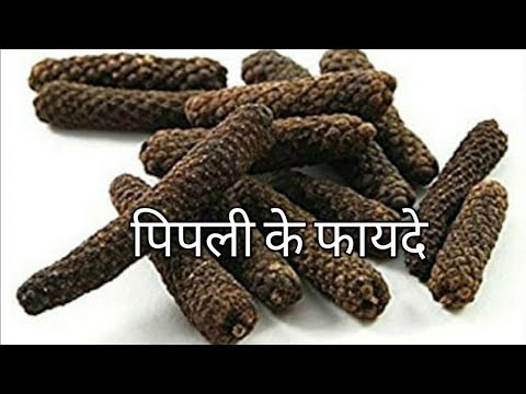 Brahmi (Bacopa monnieri) Powder