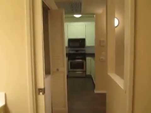 PL3401 - Modern 1 Bed + 1 Bath Apartment for Rent! (Studio City, CA)