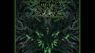 Annotations Of An Autopsy - Prosthetic Erection