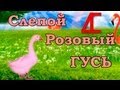 СЛЕПОЙ РОЗОВЫЙ ГУСЬ 