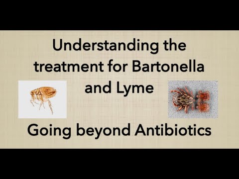 The Best Approach to Recover From Acute and Chronic Lyme Disease or a Bartonella Infection