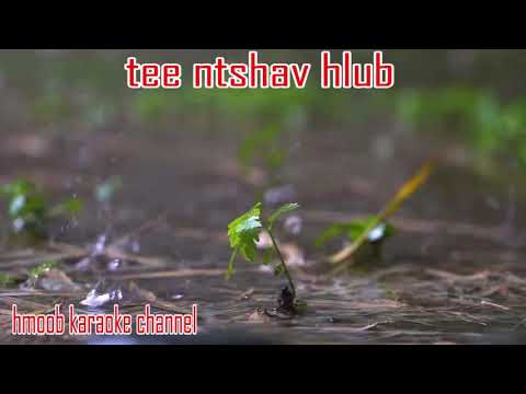 tee ntshav hlub zaj dub karaoke