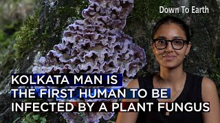 India has registered a global first of a plant fungus infecting humans