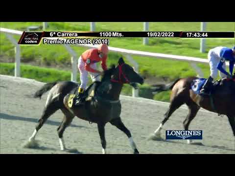 220219 c06 - 1° INFRAMUNDO - HIPODROMO DE MAROÑAS