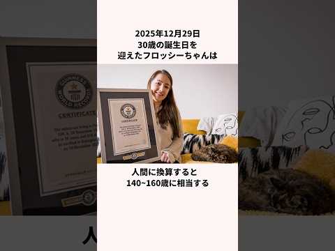 「波乱万丈な150歳」最高齢の猫についての雑学
