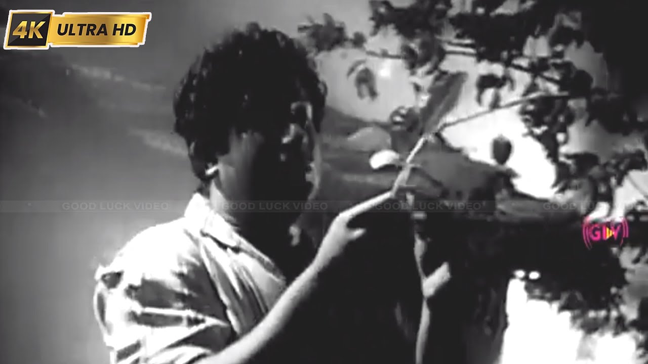 Engum Sonthamillai Song Lyrics | Punar Jenmam Tamil | P. B. Sreenivas