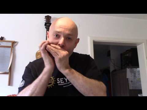 Was bringen mir die Zusatzübungen - Thomas Hippe Blues Harp