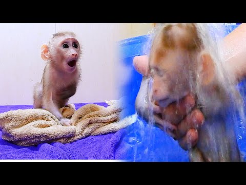 82# OMG Little Baby Girl ANA Very Hungry After Take Barth