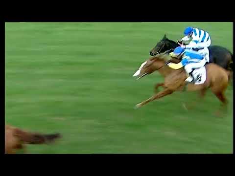 Napoli Galoppo 30/01/2022 - 4ª corsa