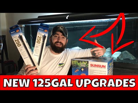 125 gallon aquarium upgrades, African Cichlid tank