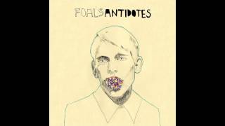 FOALS - RED SOX PUGIE