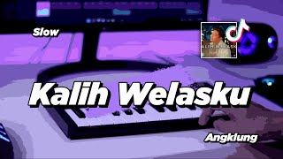 Download lagu DJ KALIH WELASKU DENNY CAKNAN VIRAL TIK TOK... mp3