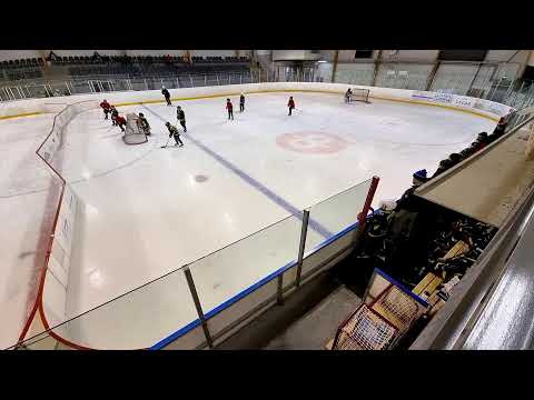 leijonaliiga u10 varkaus