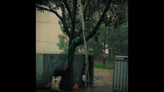 Download lagu Efek rumah kaca - desember lirik Story wa #desember #efekrumahkaca #trending #fypシ゚ #storywa mp3 Download lagu Efek rumah kaca - desember lirik Story wa #desember #efekrumahkaca #trending #fypシ゚ #storywa mp3