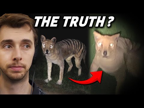 The Truth Behind The Faked Tasmanian Tiger Footage!