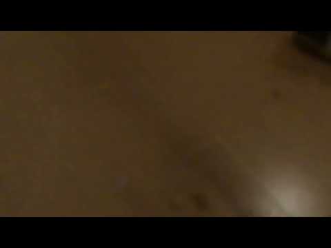 ACKP gefilmd door @pony_veerle