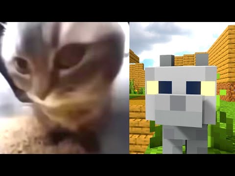 Insane Minecraft Cat Dance ft. PigmanBruh