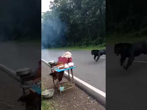 seorang ibu ibu berjuwalan hampir di gigit macan kumbang#???😨😨