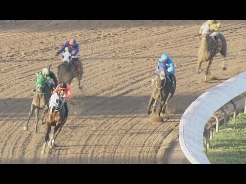 EL CONSISTENTE - Quinta Victoria - 16 Enero 2026