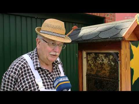 FAN Das Magazin - Bienenseuche - Beitrag vom 03.08.2012