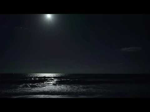 #الأزلي alazli قصيدة مات الفؤاد