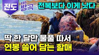'[전남광주통합특별시 진도] 