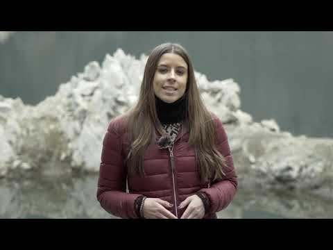 download lagu mp3 mp4 Crimen Susqueda, download mp3 Crimen Susqueda free download, download mp3 Crimen Susqueda